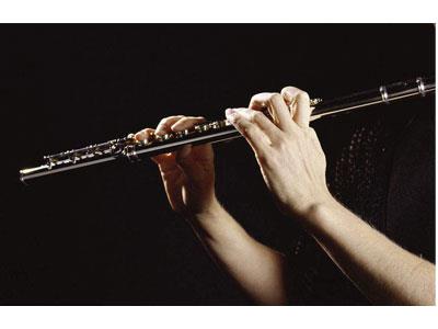 招聘娄底长笛家教老师