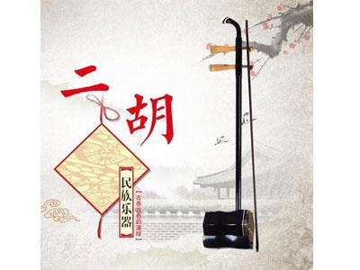 招聘娄底二胡家教老师